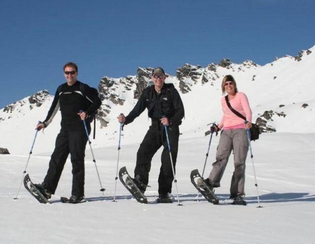  Paseo tranquilo en la nieve 